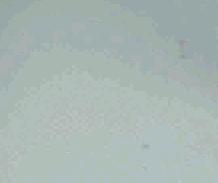 DSCN0037