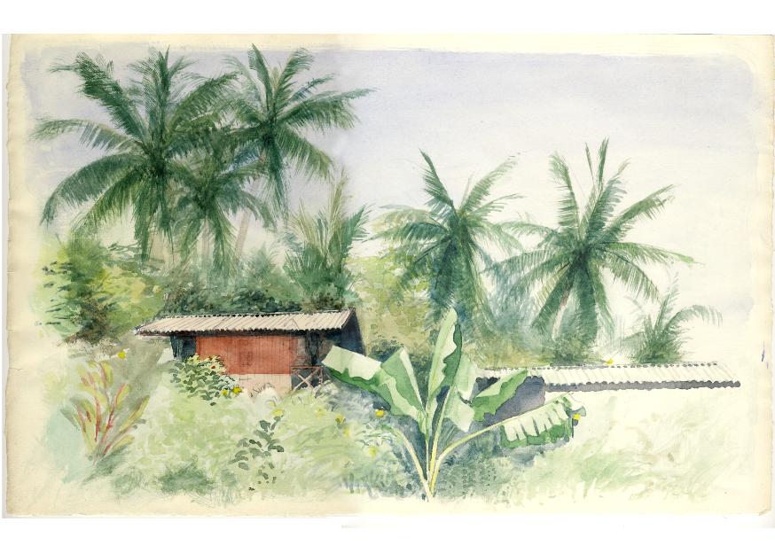 NABO PÅ TIOMAN