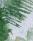 palme2