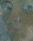 SELVPORTR1962ADAMZOOMjpg